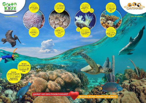 GK Carmabi poster A1 versie 7