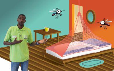 First GreenKidz E learn in the making