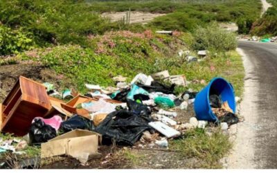 GreenKidz participates in news publication