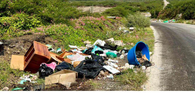 GreenKidz participates in news publication